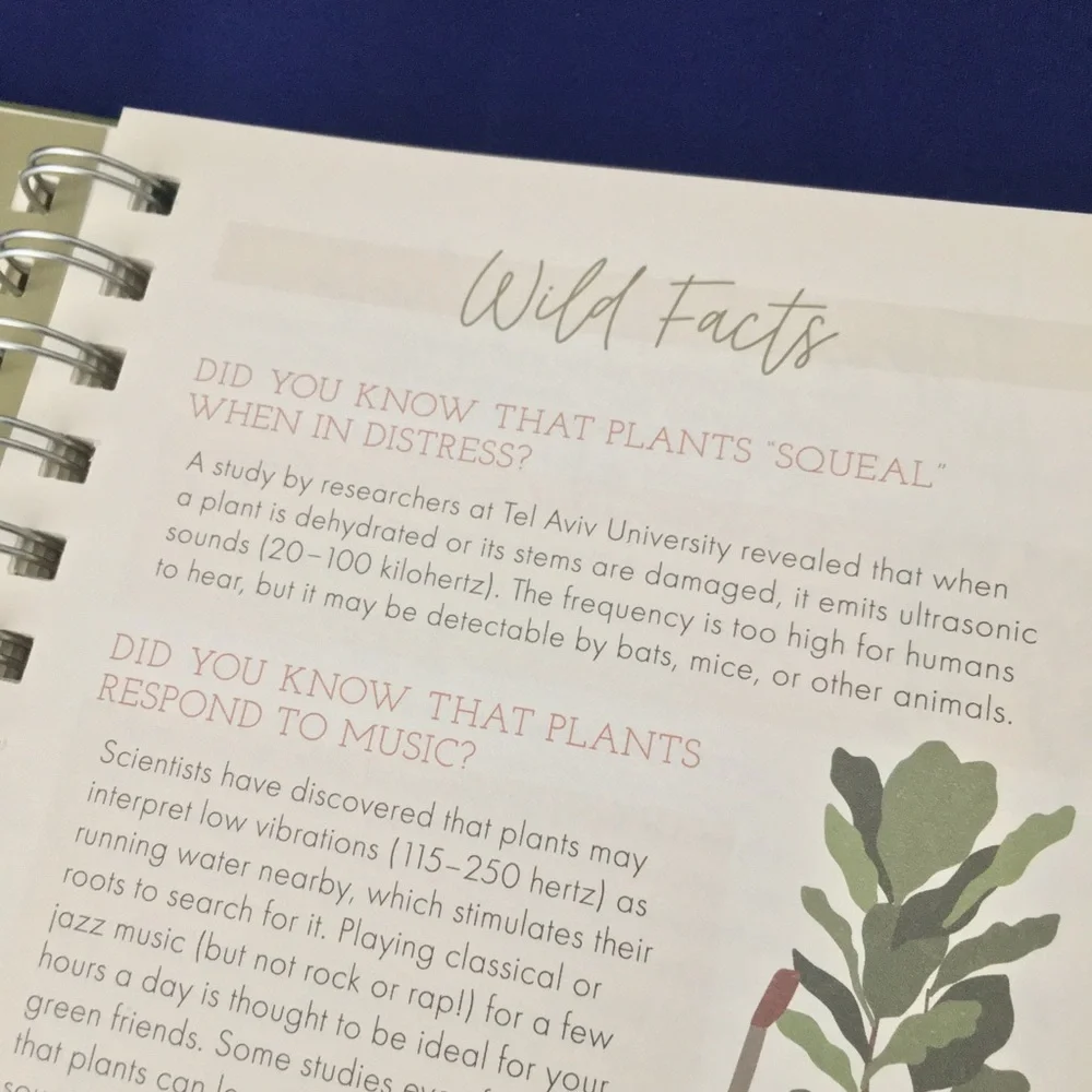 Green Vibes Only Guided Houseplant Journal